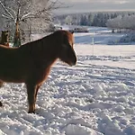 Im Schwedenhaus Unsere Kleine Farm Monschau