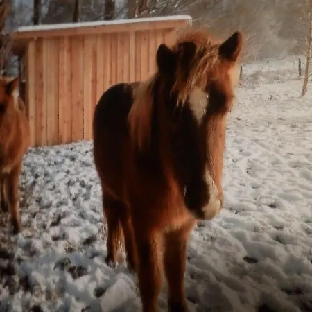 Im Schwedenhaus Unsere Kleine Farm *