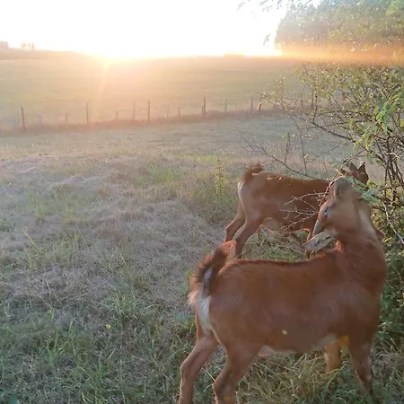 民宿 Im Schwedenhaus Unsere Kleine Farm 蒙绍