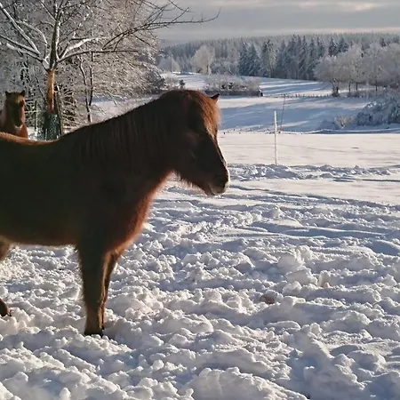 Im Schwedenhaus Unsere Kleine Farm Monschau