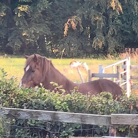 Im Schwedenhaus Unsere Kleine Farm * Monschau