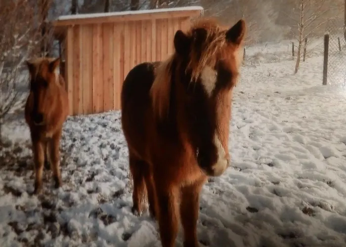 Im Schwedenhaus Unsere Kleine Farm *