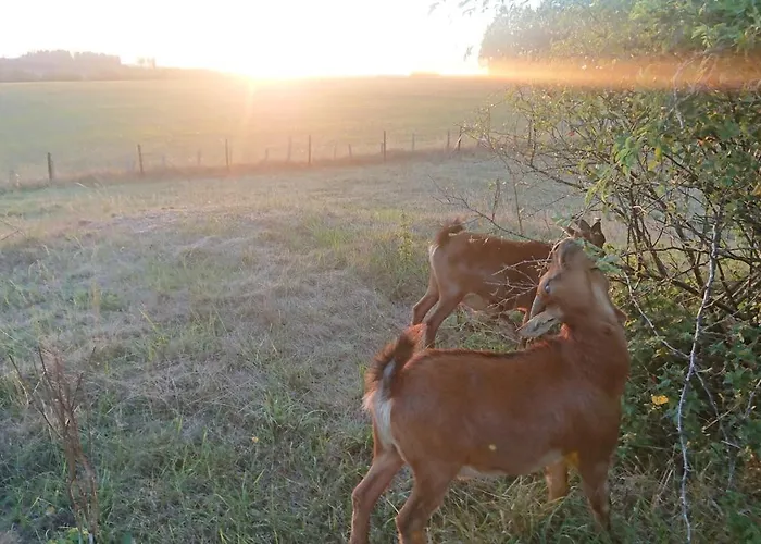 Privat bolig Im Schwedenhaus Unsere Kleine Farm Monschau