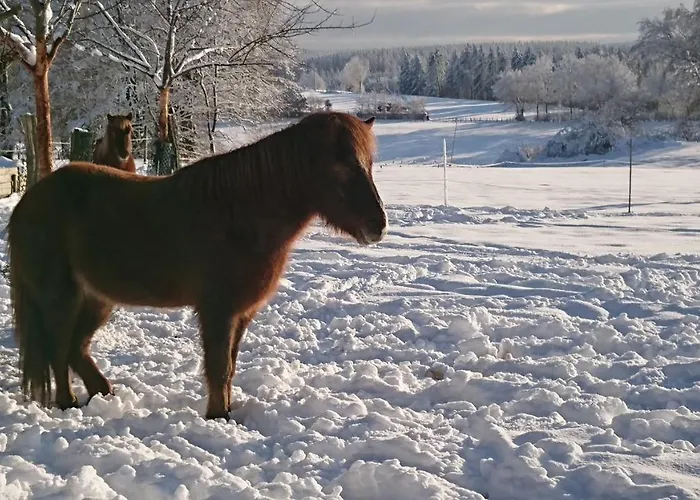 Im Schwedenhaus Unsere Kleine Farm Monschau